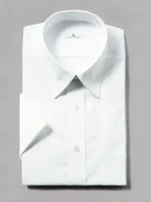 白ブロード 半袖